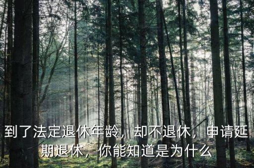 到了法定退休年齡，卻不退休，申請(qǐng)延期退休，你能知道是為什么