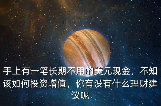 手上有一筆長期不用的美元現(xiàn)金，不知該如何投資增值，你有沒有什么理財建議呢
