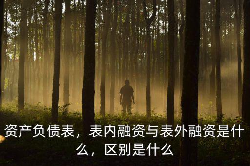 資產(chǎn)負(fù)債表，表內(nèi)融資與表外融資是什么，區(qū)別是什么