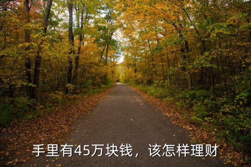 手里有45萬塊錢，該怎樣理財