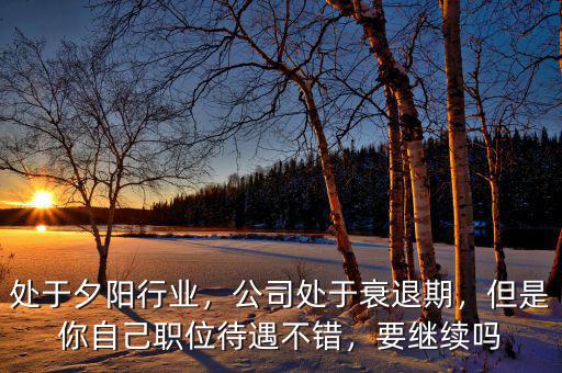 處于夕陽行業(yè)，公司處于衰退期，但是你自己職位待遇不錯，要繼續(xù)嗎