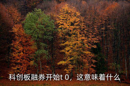 科創(chuàng)板融券開始t 0，這意味著什么