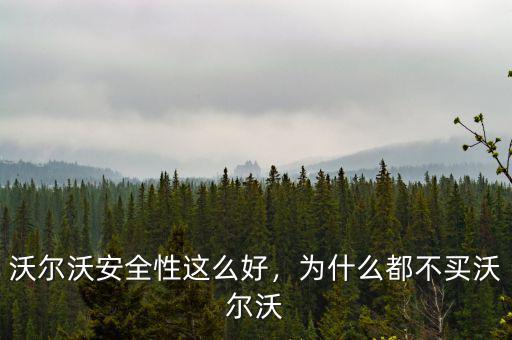 沃爾沃安全性這么好，為什么都不買沃爾沃