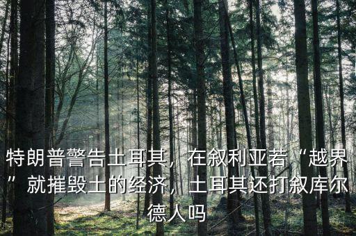 特朗普警告土耳其，在敘利亞若“越界”就摧毀土的經(jīng)濟，土耳其還打敘庫爾德人嗎