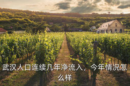 武漢人口連續(xù)幾年凈流入，今年情況怎么樣