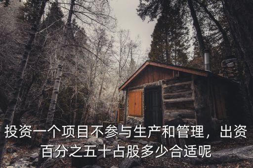 投資一個項目不參與生產(chǎn)和管理，出資百分之五十占股多少合適呢