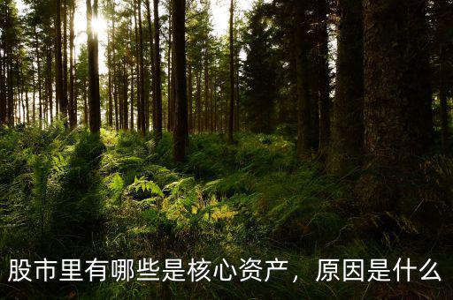 股市里有哪些是核心資產(chǎn)，原因是什么