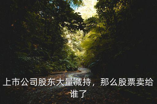 上市公司股東大量減持，那么股票賣給誰了