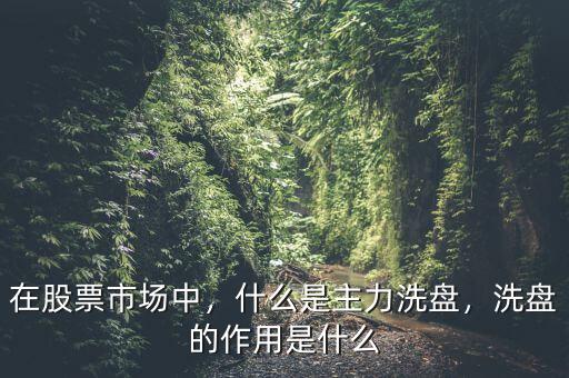 在股票市場中，什么是主力洗盤，洗盤的作用是什么