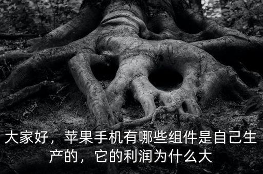 大家好，蘋果手機(jī)有哪些組件是自己生產(chǎn)的，它的利潤(rùn)為什么大
