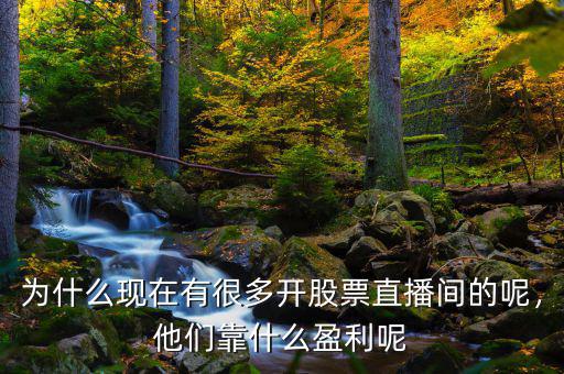 為什么現(xiàn)在有很多開(kāi)股票直播間的呢，他們靠什么盈利呢