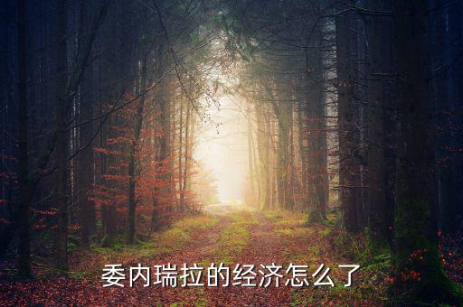 委內(nèi)瑞拉經(jīng)濟怎么樣,委內(nèi)瑞拉石油儲量世界第一
