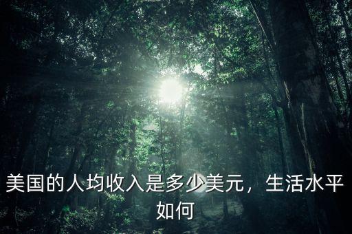 美國(guó)的人均收入是多少美元，生活水平如何