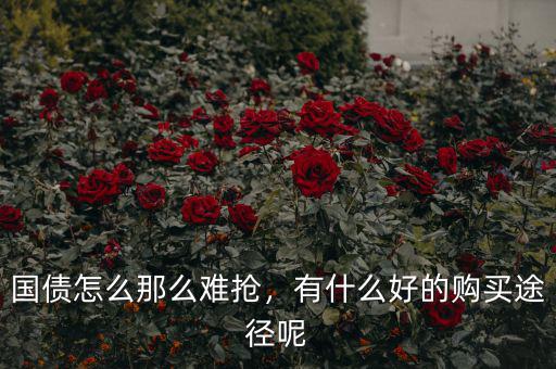 國債怎么那么難搶，有什么好的購買途徑呢