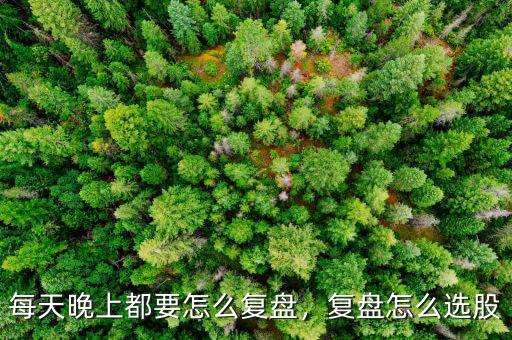 每天晚上都要怎么復盤，復盤怎么選股