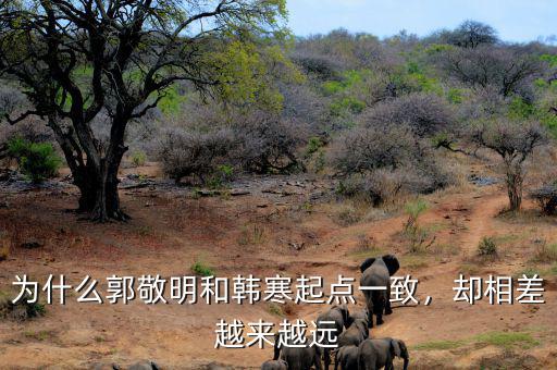 為什么郭敬明和韓寒起點一致，卻相差越來越遠