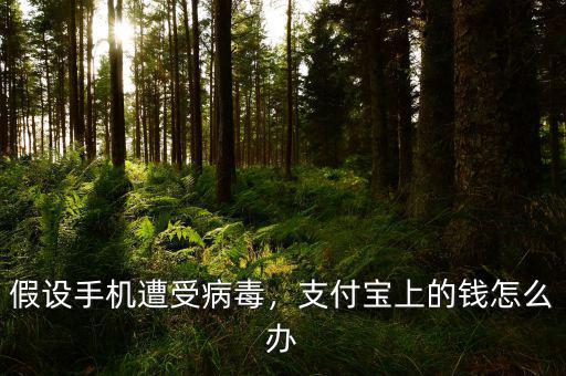 假設(shè)手機(jī)遭受病毒，支付寶上的錢怎么辦