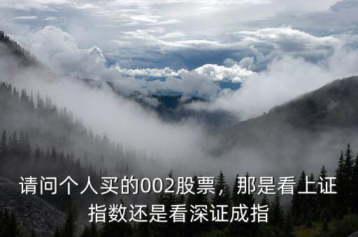 請(qǐng)問(wèn)002開頭的股票是什么意思,那是看上證指數(shù)