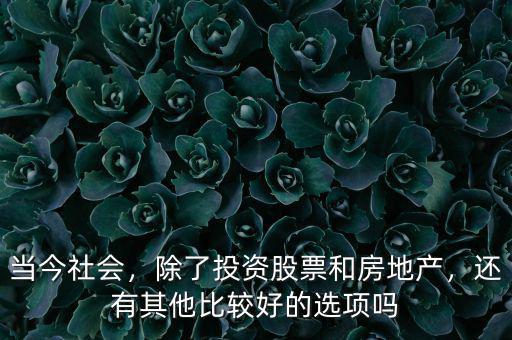 當(dāng)今社會(huì)，除了投資股票和房地產(chǎn)，還有其他比較好的選項(xiàng)嗎