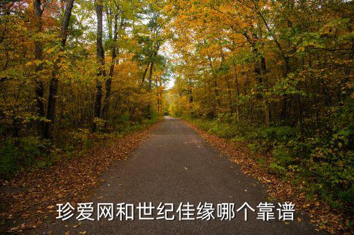 珍愛網(wǎng)和世紀(jì)佳緣哪個(gè)靠譜