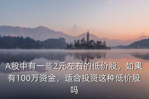 A股中有一些2元左右的低價股，如果有100萬資金，適合投資這種低價股嗎