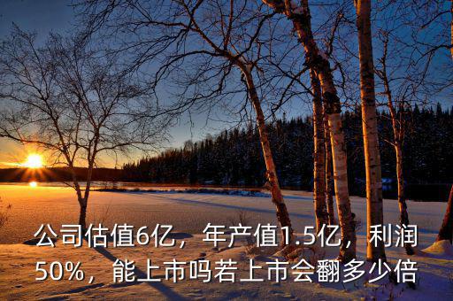 公司估值6億，年產(chǎn)值1.5億，利潤50%，能上市嗎若上市會翻多少倍