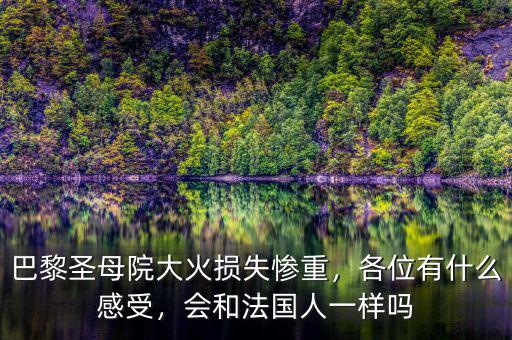 巴黎圣母院大火損失慘重，各位有什么感受，會(huì)和法國(guó)人一樣嗎