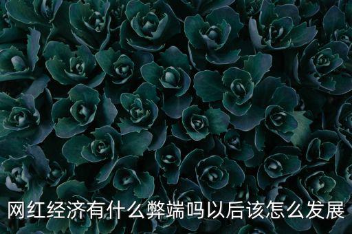 網(wǎng)紅經(jīng)濟有什么弊端嗎以后該怎么發(fā)展