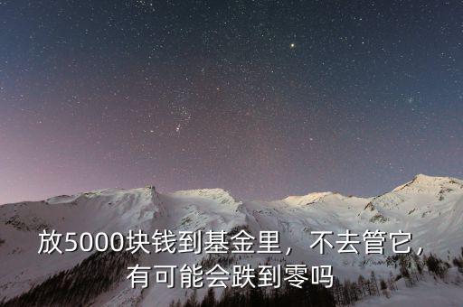 放5000塊錢到基金里，不去管它，有可能會跌到零嗎