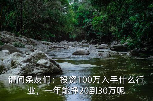 請問條友們：投資100萬入手什么行業(yè)，一年能掙20到30萬呢