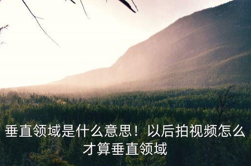 垂直領(lǐng)域是什么意思！以后拍視頻怎么才算垂直領(lǐng)域
