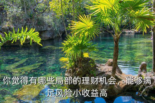你覺得有哪些局部的理財機(jī)會，能夠滿足風(fēng)險小收益高