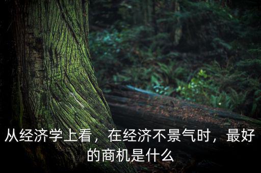從經(jīng)濟(jì)學(xué)上看，在經(jīng)濟(jì)不景氣時(shí)，最好的商機(jī)是什么