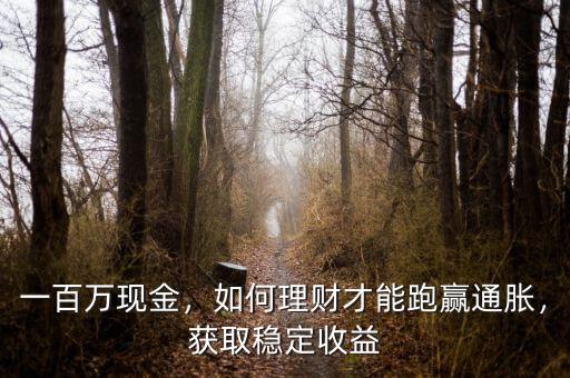 一百萬現(xiàn)金，如何理財(cái)才能跑贏通脹，獲取穩(wěn)定收益