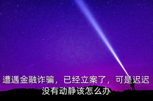 遭遇金融詐騙，已經(jīng)立案了，可是遲遲沒有動靜該怎么辦