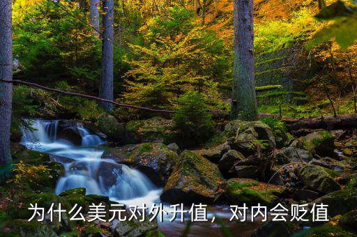 為什么美元對(duì)外升值，對(duì)內(nèi)會(huì)貶值