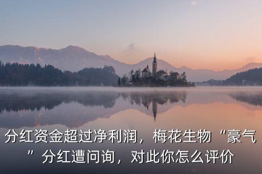 分紅資金超過凈利潤，梅花生物“豪氣”分紅遭問詢，對此你怎么評價