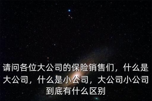 請問各位大公司的保險銷售們，什么是大公司，什么是小公司，大公司小公司到底有什么區(qū)別