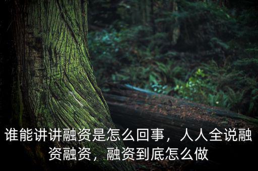 誰(shuí)能講講融資是怎么回事，人人全說(shuō)融資融資，融資到底怎么做