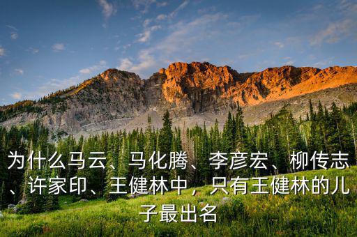 為什么馬云、馬化騰、李彥宏、柳傳志、許家印、王健林中，只有王健林的兒子最出名