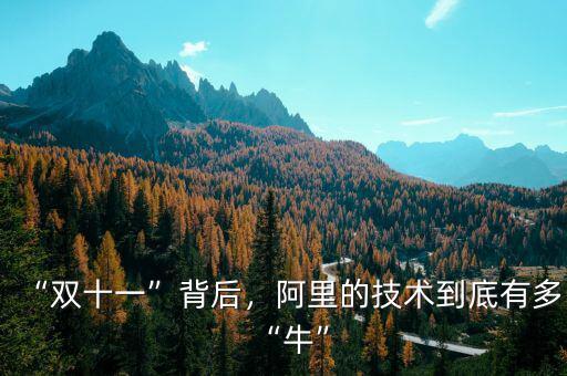 “雙十一”背后，阿里的技術(shù)到底有多“牛”