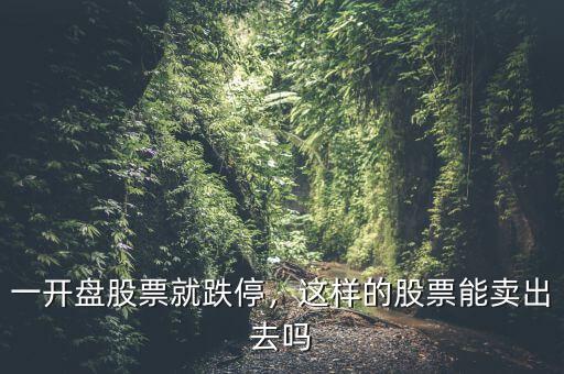 一開(kāi)盤(pán)股票就跌停，這樣的股票能賣出去嗎