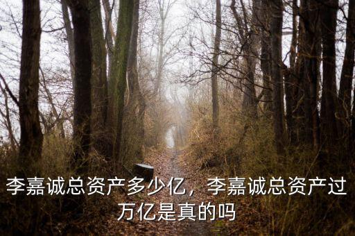 李嘉誠總資產(chǎn)多少億，李嘉誠總資產(chǎn)過萬億是真的嗎