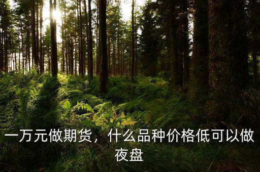 一萬元做期貨，什么品種價格低可以做夜盤