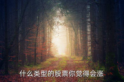 什么類型的股票你覺得會漲