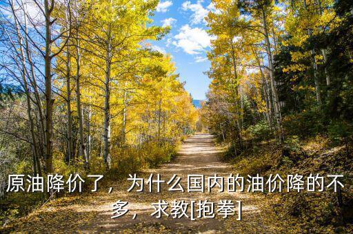 原油降價了，為什么國內(nèi)的油價降的不多，求教[抱拳]