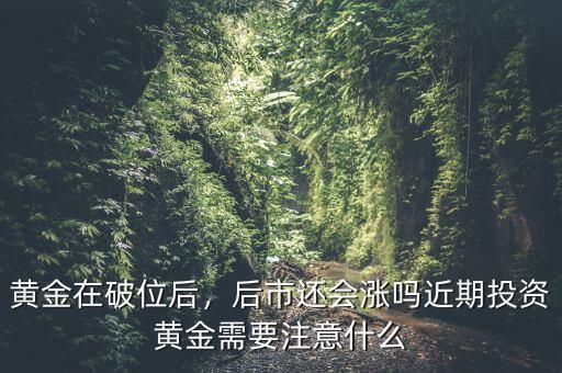 黃金在破位后，后市還會(huì)漲嗎近期投資黃金需要注意什么