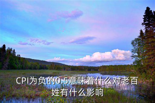 ppi負(fù)增長有什么影響,人口負(fù)增長會(huì)有哪些優(yōu)缺點(diǎn)