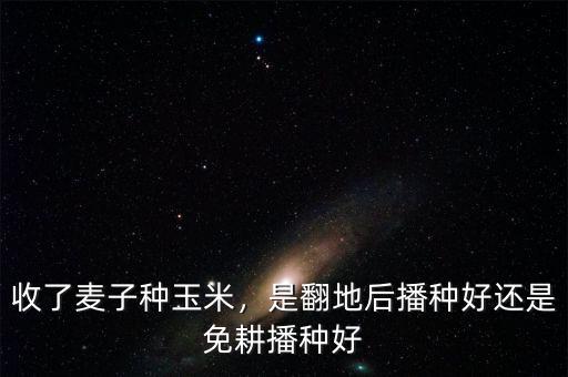 收了麥子種玉米，是翻地后播種好還是免耕播種好