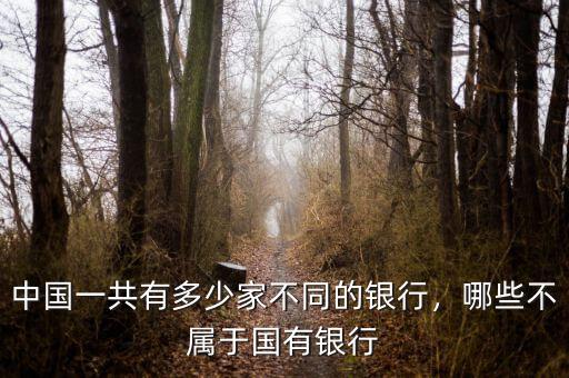 中國一共有多少家不同的銀行，哪些不屬于國有銀行